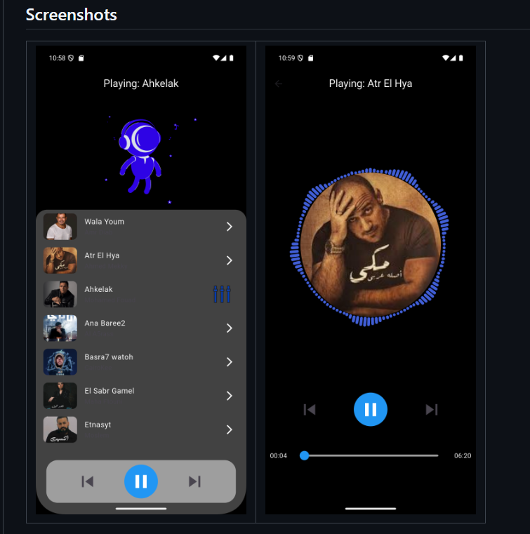 Audio Player Application